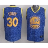 nba golden state warriors #30 curry blue leopard print[2014 new]