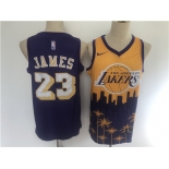 Men's Los Angeles Lakers #23 LeBron James Swingman Black salute edition 2021 New Basketball Jersey