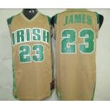 nba chicago bulls #23 jordan gold( green number)