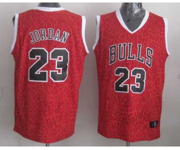 nba chicago bulls #23 jordan red leopard print[2014 new]