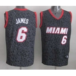 nba miami heat #6 james black leopard print[2014 new]