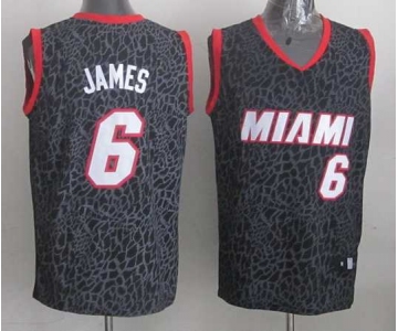 nba miami heat #6 james black leopard print[2014 new]