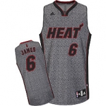 nba miami heat #6 james grey[static fashion swingman]