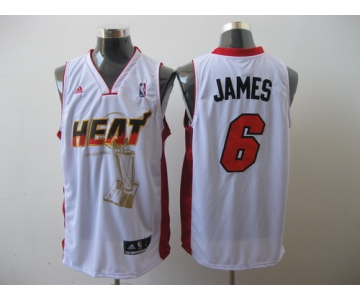 nba miami heat #6 james white[2011 finals memorial edition]