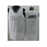 nba miami heat #6 james white[revolution 30 silver number white]