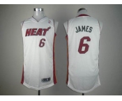 nba miami heat #6 james white[revolution 30]