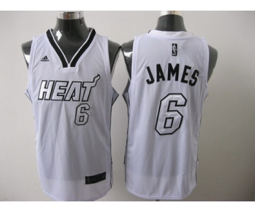 nba miami heat #6 james white[swingman full white]