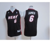 youth nba miami heat #6 james black[revolution 30 swingman]