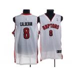 nba toronto raptors #8 jose calderon white