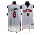 nba toronto raptors #8 jose calderon white