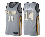 Men's Nike Cleveland Cavaliers #14 Terrell Brandon Swingman Gray NBA Jersey - City Edition