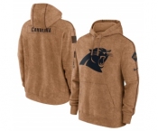 Men's Carolina Panthers 2023 Brown Salute to Service Pullover Hoodie