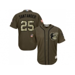 Men Baltimore Orioles #25 Anthony Santander Green Salute to Service Stitched MLB Jersey