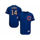 Men Cubs #14 Ernie Banks Blue Flexbase Authentic 2017 Gold Program Stitched MLB Jersey