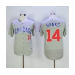 Men's Chicago Cubs #14 Ernie Banks Majestic Gray Flexbase Authentic Collection Player Jersey