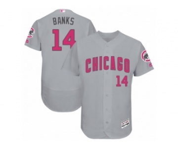 Men's Majestic Chicago Cubs #14 Ernie Banks Grey Mother's Day Flexbase Authentic Collection MLB Jersey