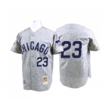 Men's Mitchell and Ness Chicago Cubs #23 Ryne Sandberg Authentic Grey 1969 Throwback MLB Jersey