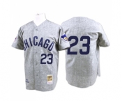 Men's Mitchell and Ness Chicago Cubs #23 Ryne Sandberg Authentic Grey 1969 Throwback MLB Jersey