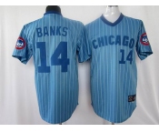 mlb chicago cubs #14 banks m&n blue(white strip)