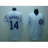 mlb chicago cubs #14 banks white(blue strip)