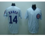 mlb chicago cubs #14 banks white(blue strip)