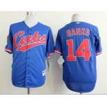 mlb jerseys chicago cubs #14 banks blue[1994 m&n]