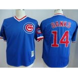 mlb jerseys chicago cubs #14 banks blue[m&n]