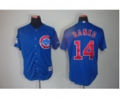 youth mlb jerseys chicago cubs #14 banks blue