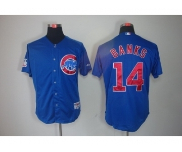 youth mlb jerseys chicago cubs #14 banks blue