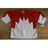 Team Canada jerseys #29 blank white[1972 Vintage]