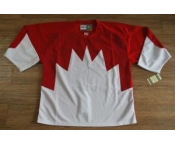 Team Canada jerseys #29 blank white[1972 Vintage]