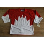 Team Canada jerseys #35 blank white[1972 Vintage]