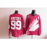 nhl jerseys team canada olympic #99 gretzky m&n red