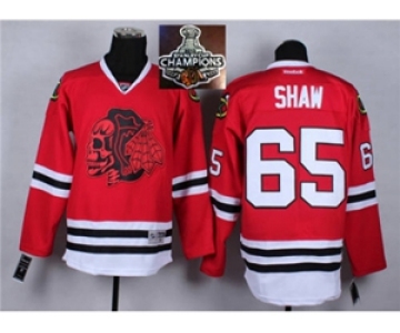 NHL Chicago Blackhawks #65 Andrew Shaw Red(Red Skull) 2014 Stadium Series 2015 Stanley Cup Champions jerseys