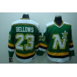 nhl dallas stars #23 bellows green ccm