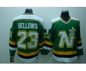 nhl dallas stars #23  bellows green ccm