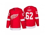 Men's adidas 2018 Season Detroit Red Wings #62 Thomas Vanek New Outfitted Jersey