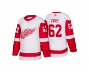 Men's adidas 2018 Season Detroit Red Wings #62 Thomas Vanek New Outfitted Jerseys