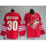 nhl jerseys phoenix coyotes 30# bryzgalov red