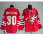 nhl jerseys phoenix coyotes 30# bryzgalov red