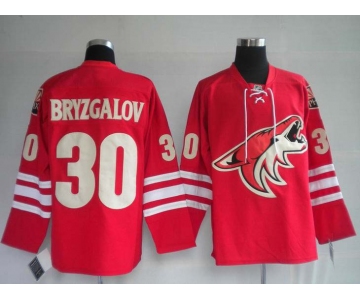 nhl jerseys phoenix coyotes 30# bryzgalov red