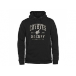 Men's Arizona Coyotes Black Camo Stack Pullover Hoodie