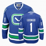 youth nhl vancouver canucks #1 luongo blue 3rd