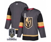 Men's Vegas Golden Knights Blank Gray 2023 Stanley Cup Champions Stitched Jersey