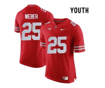 2016 Youth Ohio State Buckeyes Mike Weber #25 College Football Limited Jersey - Scarlet