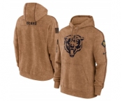 Men's Chicago Bears 2023 Brown Salute to Service Pullover Hoodie