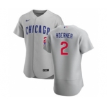 Men's Nike Chicago Cubs #2 Nico Hoerner Gray Road 2020 Authentic Team Baseball Jersey