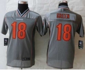 nike youth nfl jerseys cincinnati bengals #18 green grey[nike vapor]