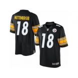 Men's Nike Pittsburgh Steelers #18 Zach Mettenberger Limited Black Team Color NFL Jersey