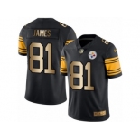 Men's Nike Steelers #81 Jesse James Black Stitched NFL Limited Gold Rush Jersey